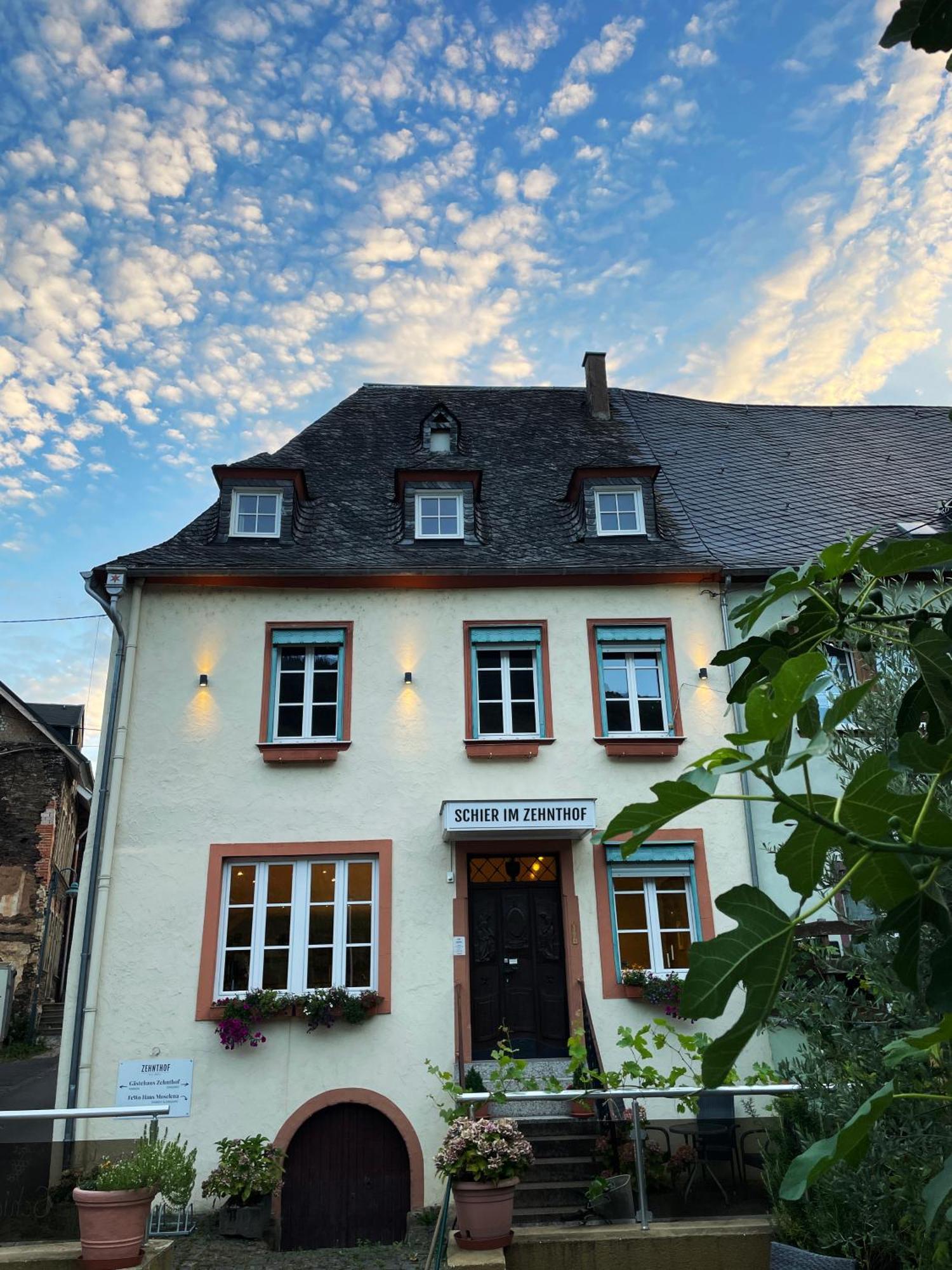 ZEHNTHOF Gästehaus am Moselufer Reil Exterior foto